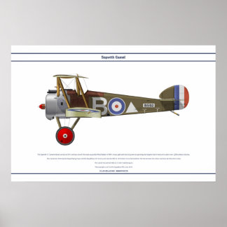 Póster Camel 43 Sqn