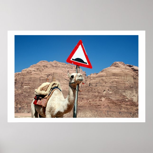 Póster camel hump wadi rum (Frente)