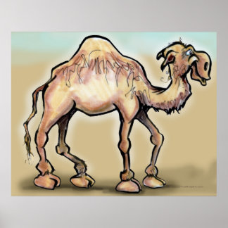 Póster Camel Poster