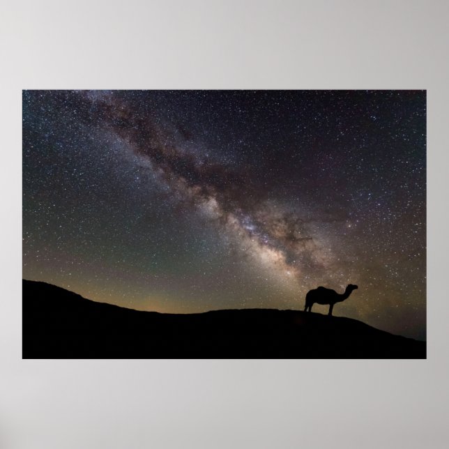 Póster Camel Silhouette y Milkyway (Frente)