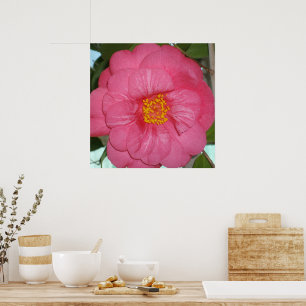 Póster Camellia Rosa Caliente Creciendo En Un Árbol,