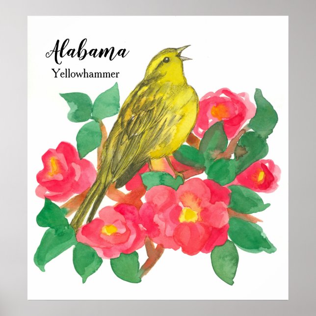 Póster Camellias rosadas Pájaro Amarillo acuático (Frente)