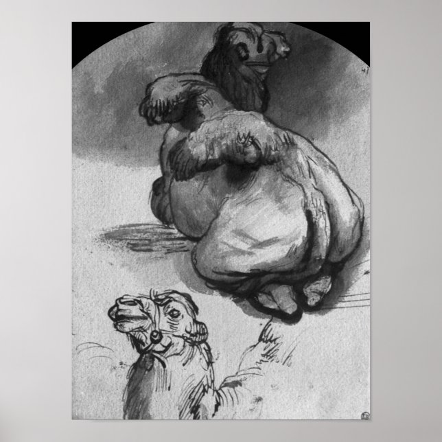 Póster Camellos (Frente)