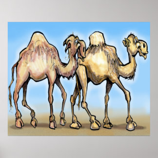 Póster Camellos