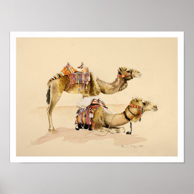 Póster Camellos de Petra 2007 (Frente)