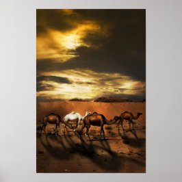 Póster Camellos en el desierto