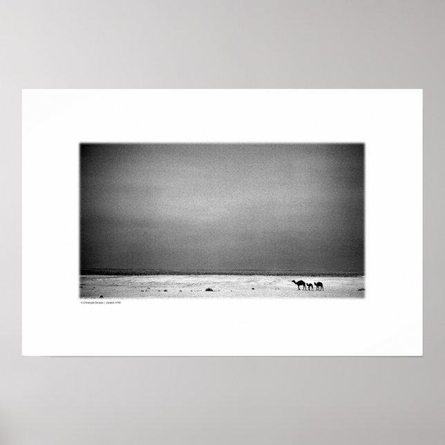 Póster Camellos en el desierto de Jordania (B&W) (Frente)