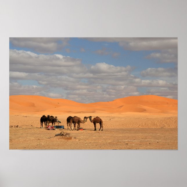 Póster Camellos en el desierto de Sahara Poster (Frente)