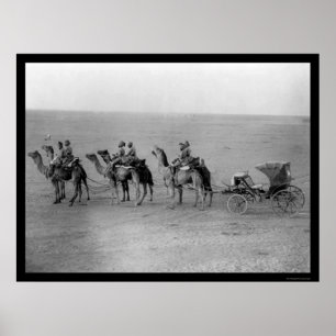 Póster Camellos lanzan un transporte por el Sahara 1901