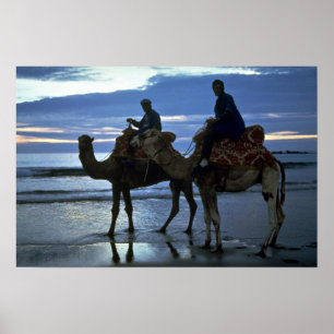 Póster Camellos, Marruecos