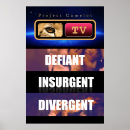 PÓSTER CAMELOT DEL PROYECTO