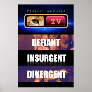 PÓSTER CAMELOT DEL PROYECTO