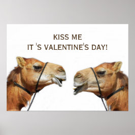 Póster Camels Kissing Funny Poster