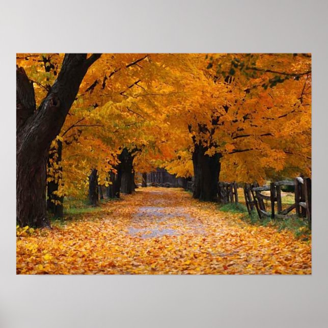 Póster Caminando por el carril de la memoria del otoño (Frente)