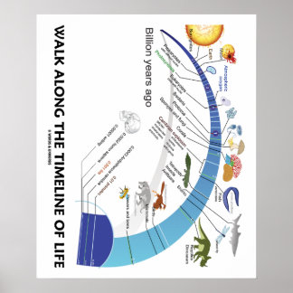 Póster Caminar A Lo Largo Del Tiempo De Evolución De La B