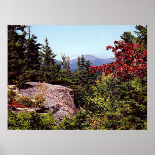 Póster Caminar el poster blanco escénico de New Hampshire