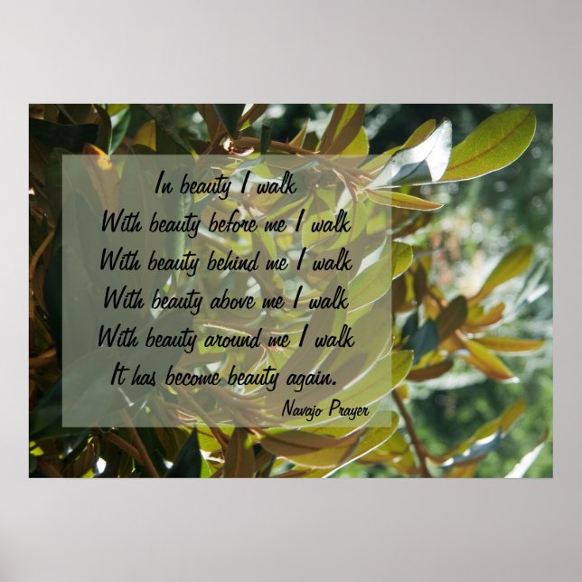 Póster Caminata del Orador Navajo en Poster de Belleza (Frente)