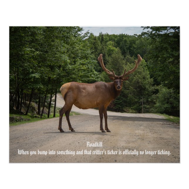 Póster Camino (Anverso)