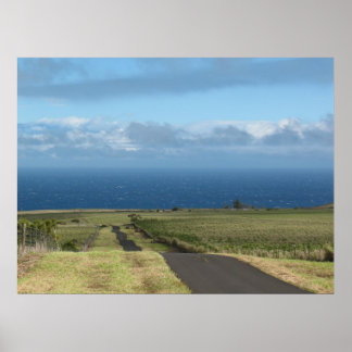 Póster camino a . ... ...