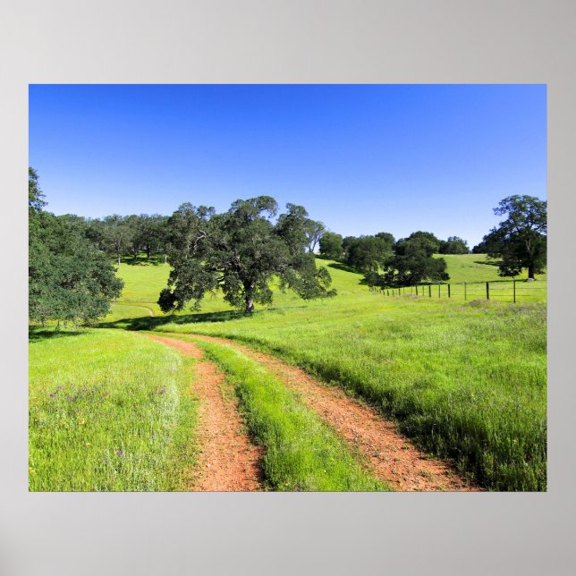 Póster Camino a la primavera (Frente)