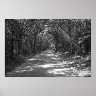 Póster Camino a No Donde