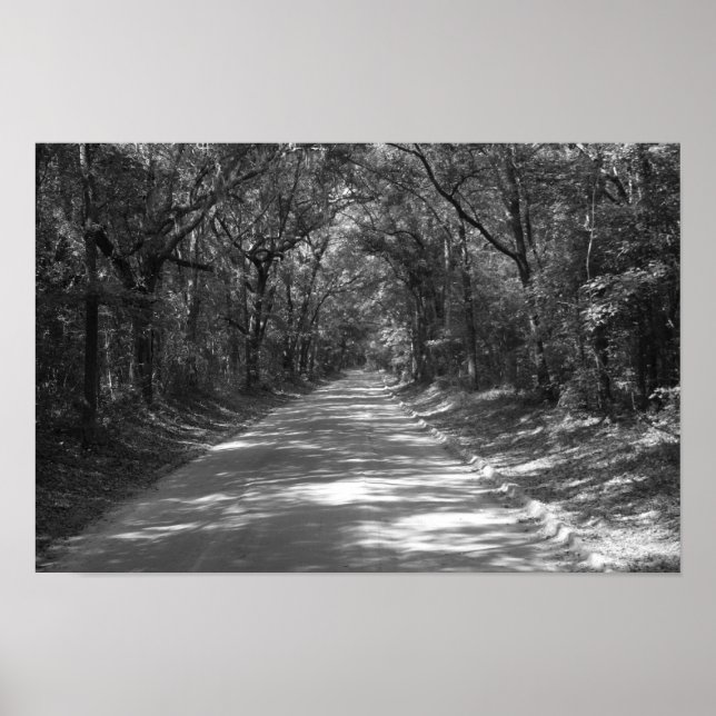 Póster Camino a No Donde (Frente)