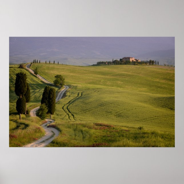 Póster Camino a Terrapille en el poster toscano (Frente)