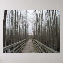 Póster Camino a través de la selva