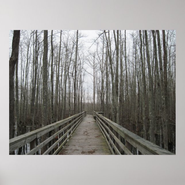 Póster Camino a través de la selva (Frente)