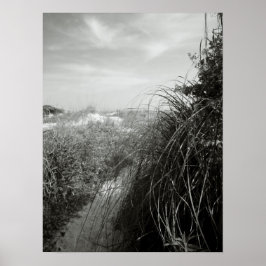 Póster Camino a través de las dunas