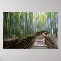 Camino a través del Bambú: Kioto, Japón