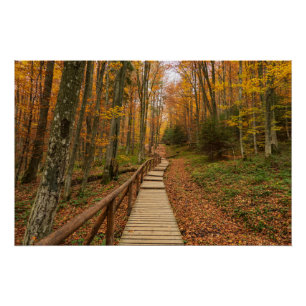 Póster Camino a través del bosque otoñal.