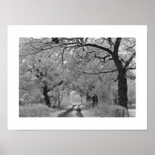 Póster Camino al campo en invierno: Cheshire, Inglaterra