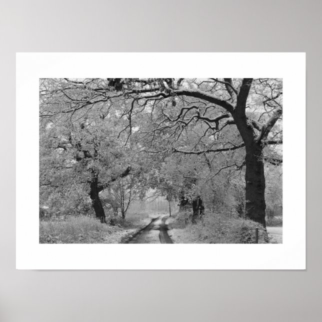 Póster Camino al campo en invierno: Cheshire, Inglaterra (Frente)