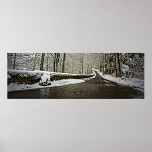 Póster Camino al futuro - Poster 36x12