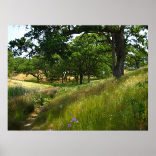 Póster "Camino al silencio"