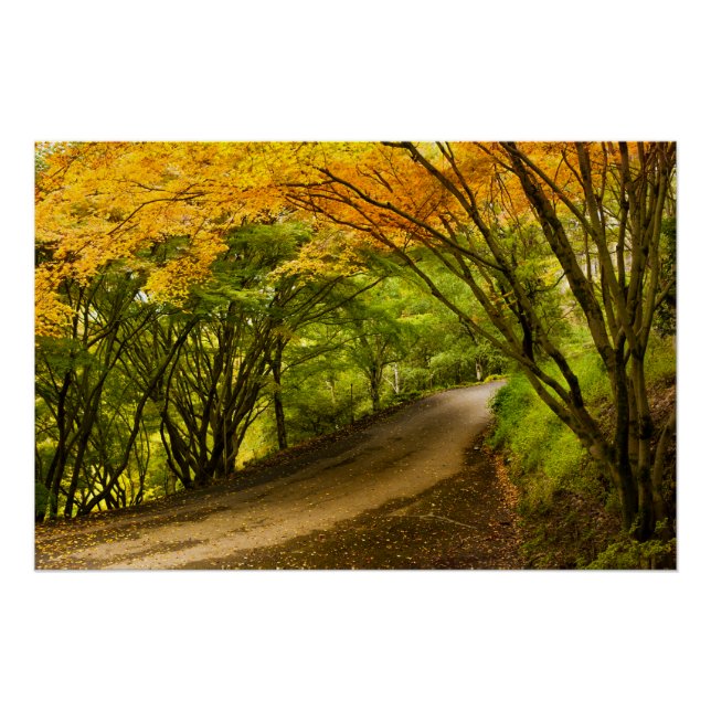 Póster Camino campestre en otoño (Anverso)