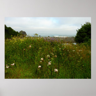 Póster Camino de bucles Yurok en el Parque Nacional Redwo