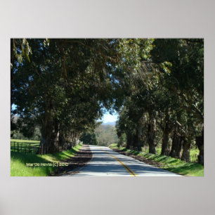 Póster Camino de campo en árbol
