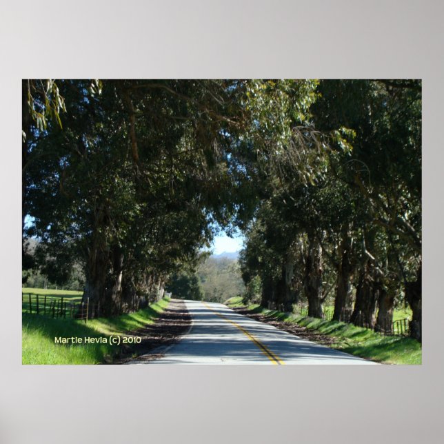 Póster Camino de campo en árbol (Frente)