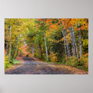 Póster Camino de grava con color de otoño