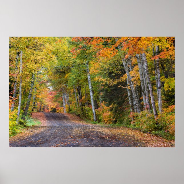 Póster Camino de grava de hoja con color otoño (Frente)