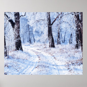 Póster Camino de invierno