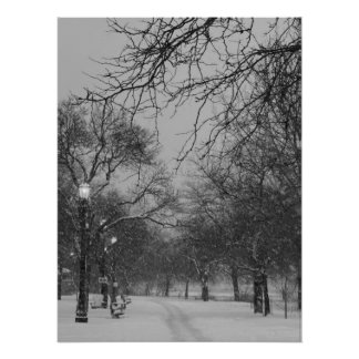 Póster Camino de invierno