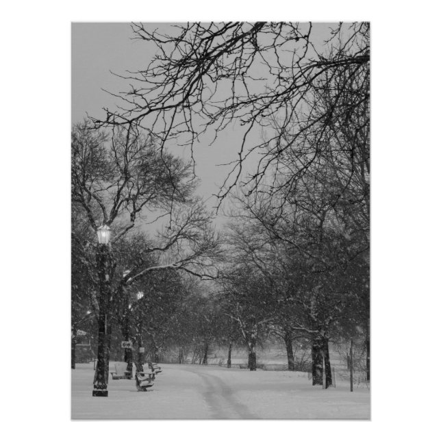 Póster Camino de invierno (Anverso)