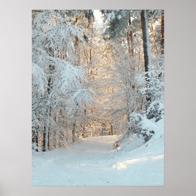Póster Camino de invierno (Frente)