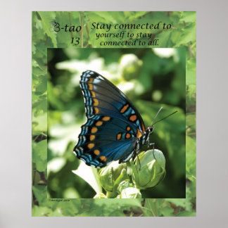 Póster Camino de la mariposa 13 - Manténgase conectado