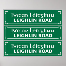 Póster Camino de Leighlin