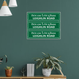 Póster Camino de Leighlin