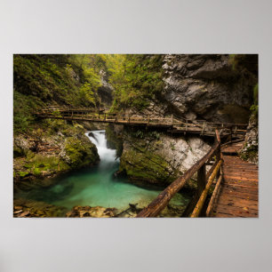 Póster Camino de madera a través del cañón de la garganta